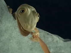 ▲ 태국 SHERA의 천장재 광고 ⓒ 뉴데일리