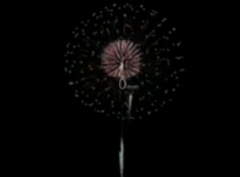 ▲ 일본의 콘돔 광고 스틸 컷 ⓒ 뉴데일리 