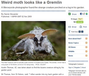 ▲ 관련 보도 캡처&nbsp; ⓒ 영국 일간지 텔레그라프