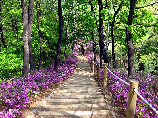 ▲ 서리풀근린공원 전경ⓒ서초구청