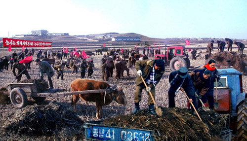 ▲ 북한 주민들의 농사 모습. ⓒ 연합뉴스