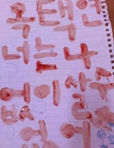 ▲ 디시인사이드 '2PM 갤러리'에 올라온 한 극성팬의 혈서.