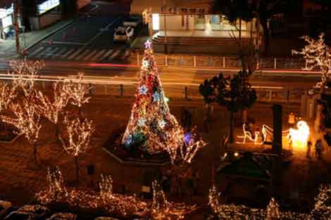 ▲ 밀양시 삼문동 시립도서관 광장에 대형 크리스마스트리가 색색의 불을 환하게 밝히고 있다.