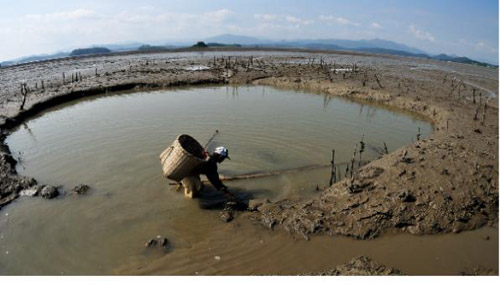 ▲ 반선순씨의 &lsquo;갯벌과 새우잡이 노인&rsquo; ⓒ 뉴데일리