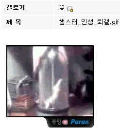 ▲ 인터넷사이트 게시판에 올려진 햄스터 동영상 캡처. ⓒ 뉴데일리