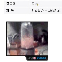 ▲ 인터넷사이트 게시판에 올려진 햄스터 동영상 캡처. ⓒ 뉴데일리