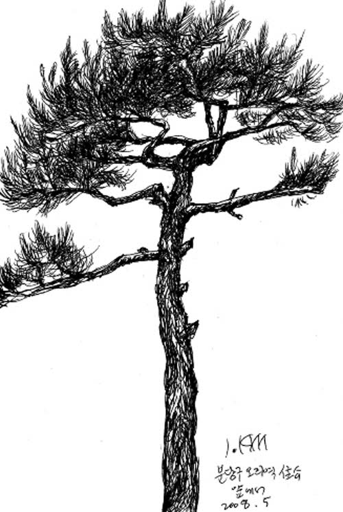 ▲ 서울경기아리랑2 2006 ⓒ 뉴데일리