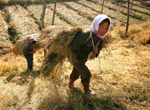 ▲ 식량난에 시달리는 북한 주민들. ⓒ 뉴데일리