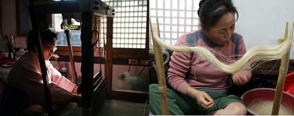 ▲ 모시짜기(좌), 모시삼기(우)가 한창. 모시가 건조해지지 않도록 가습기 가동은 필수다.ⓒ 뉴데일리