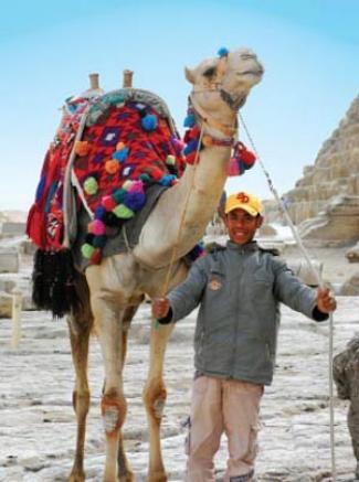 ▲ 낙타와 이집트 소년. (기자 피라미드 앞에서) 