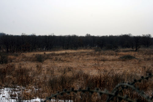 ▲ 비무장지대인 강원도 철원 내포리 지역 전경.ⓒ환경부제공