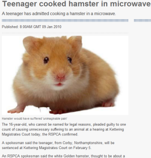 ▲ 영국 일간지 텔레그래프 관련 보도 캡처.