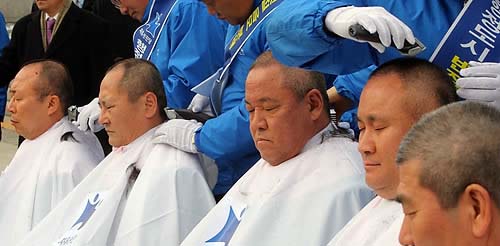 ▲ 자유선진당 임영호 총재비서실장(왼쪽부터), 김창수 원내수석부대표, 류근찬 원내대표, 이상민 정책위의장, 김낙성 사무총장이 11일 오전 국회 본청 앞 계단에서 열린 세종시 수정안 결사저지 규탄대회에서 삭발을 하고 있다 ⓒ 연합뉴스