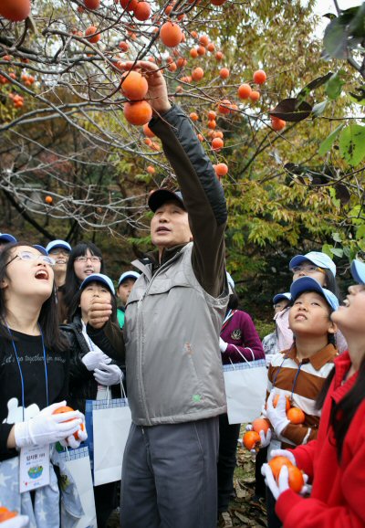 ▲ 이명박 대통령과 부인 김윤옥 여사가 지난해 11월&nbsp;청와대 관저 앞에서 청와대 어린이 기자단 40여 명과 감따기 행사를 갖고 있다. ⓒ 뉴데일리 <=청와대 제공>