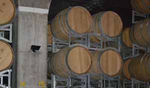 ▲ 와인을 숙성시키는 지하저장고 오크통 ⓒ뉴데일리 