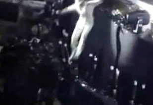 ▲ 유덕화가 팬을 구하기 위해 무대에서 뛰어내리는 장면.