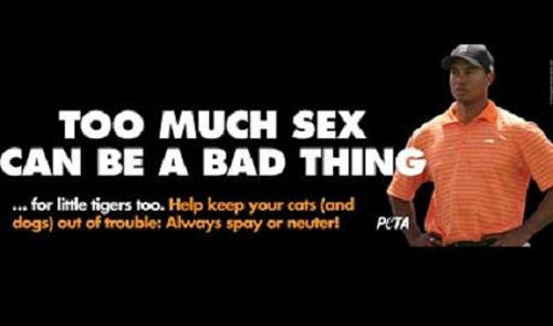 ▲ 우즈를 조롱하는 PETA의 광고 ⓒ유코피아 캡처&nbsp;