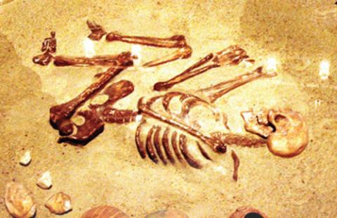▲ 선사시대 무덤속 유골. 사막에 구덩이를 파고 묻은 유해는 자연 미라가 됨. 