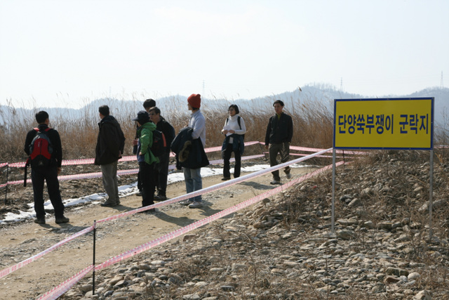 ▲ 환경연합 지영선 대표 외 30여명이 단양쑥부쟁이 군락지를 둘러보고 있다ⓒ 뉴데일리
