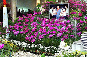 ▲ 김일성화 ⓒ&nbsp;자료사진