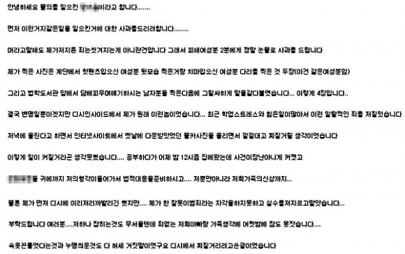 ▲ 디시인사이드에 사과문을 올린 A군 ⓒ 뉴데일리