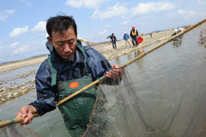 ▲ 뜰채를 들고 조심스럽게 물고기를 건져 올려, 물막이 밖 본류로 옮기는 작업이 한창이다. ⓒ&nbsp;김상엽 기자&nbsp;