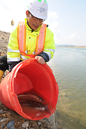 ▲ 건져낸 물고기를 풀어주는 모습 ⓒ 뉴데일리