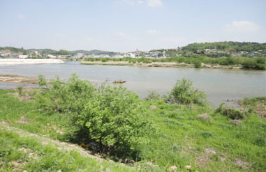 ▲ 한겨레에 실린 작년 사진처럼, 12일 비슷한 각도에서 찍은 올해 현장 사진. 강물과 건너편 구담습지가 멀쩡히 보존돼 있다. ⓒ 뉴데일리