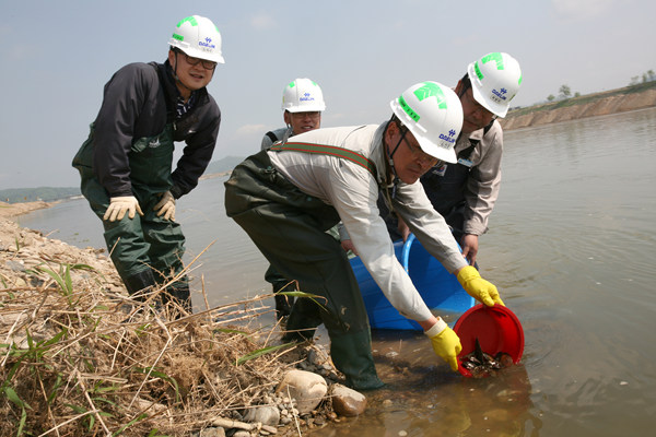 ▲ 이포보 현장 직원들이 치어들을 본류에 방생하고 있다. ⓒ 박지현 기자 