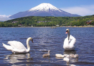 ▲ 후지산 ⓒ 자료사진