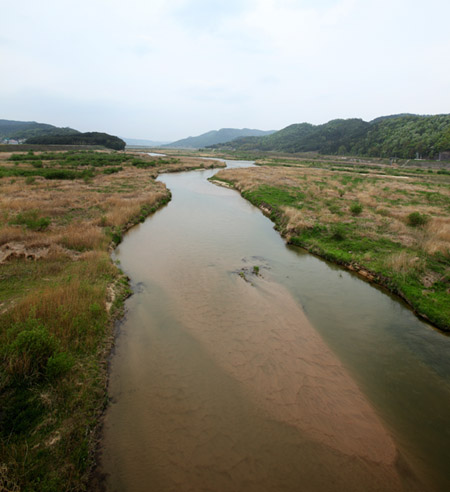 ▲ '스님'이 주지로 있는 사찰 근처의 낙동강 모습. 넓은 곳도 있지만 붓자국처럼 난 실개천이 여기저기 흩어져 있다. ⓒ 뉴데일리