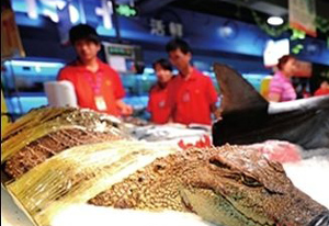 ▲ 베이징의 한 대형마트에서 악어를 산 채로 팔고 있다 ⓒ 온바오닷컴