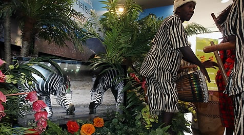 ▲ 롯데백화점의 디지털 아프리카 전시장.&nbsp; ⓒ&nbsp;연합뉴스