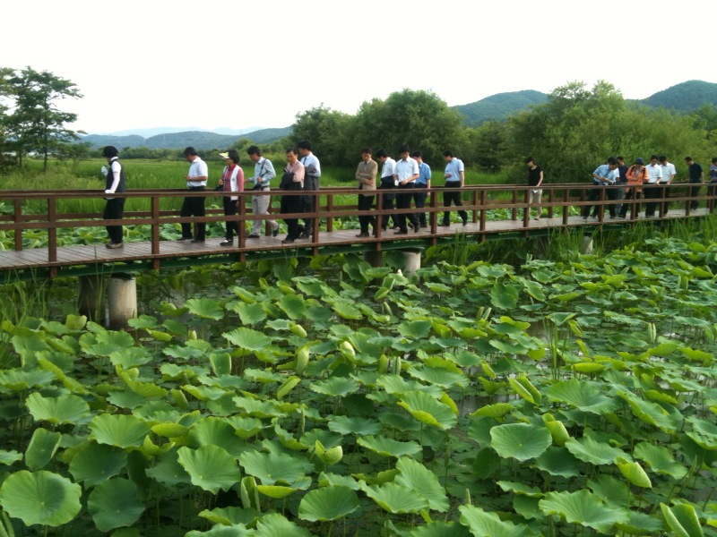 ▲ 생태습지로 조성된 경안습지. 4대강 생태습지도 이런 모습으로 조성된다. ⓒ 뉴데일리