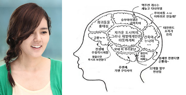 ▲ SBS 수목드라마 '나쁜남자' 재인(한가인) 뇌구조 ⓒ 뉴데일리