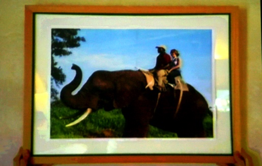 ▲ 동물을 타는 것보다 관광에 다른 재미가 있다는 내용을 담은 제일기획팀의 광고 스틸컷 ⓒ 뉴데일리