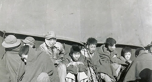 ▲ 1951년 1월 14일. 부산의 포로수용소에 방금 도착한 중공군 포로의 모습 ⓒ 연합뉴스