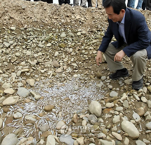 ▲ 민주당 정세균 대표가 죽은 피라미를 보고 있다. ⓒ 뉴데일리