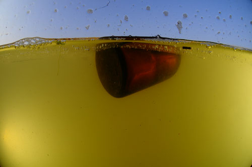 ▲ 여주 이포지구 근처의 한강 수중촬영. 떠 있는 것은 농약병이다. ⓒ 뉴데일리