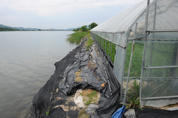▲ 북한강 가평지구 안의 하천에 바로 붙어있는 비닐하우스. ⓒ 뉴데일리