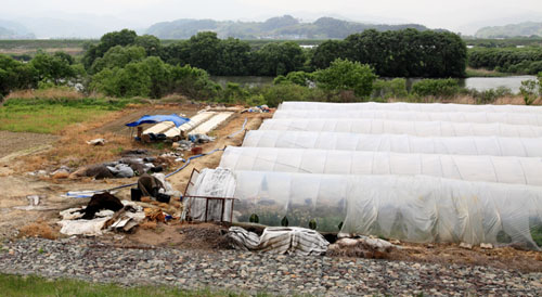 ▲ 낙동강 47공구 근처의 비닐하우스. 거름더미, 폐자재더미가 어지럽게 널려있다. ⓒ 뉴데일리