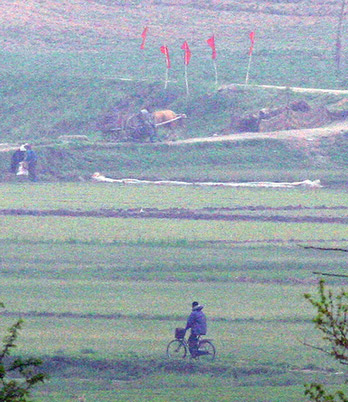 ▲ 판문점 이북 북한 선전마을인 기정동마을에서 북한 주민들이 소달구지를 이용해 농사짓기에 여념이 없다. ⓒ 연합뉴스