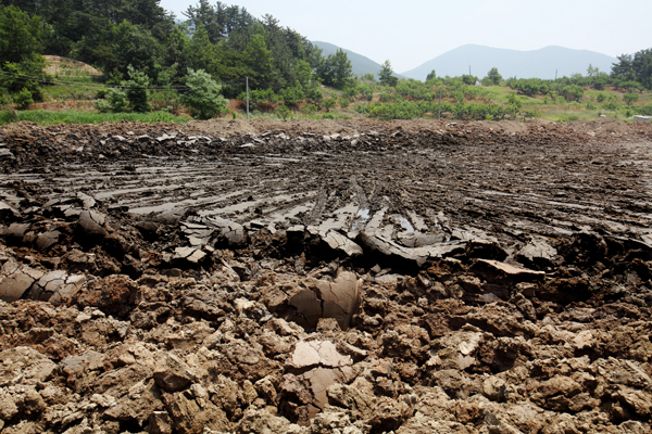 ▲ 경남 창녕군 길곡면 오호리 리모델링 현장. 황갈색 표토를 긁어내면 아래 검은 층이 보인다. ⓒ 뉴데일리