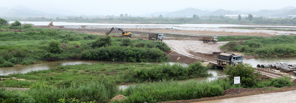 ▲ 거의 숲으로 변한 낙동강의 한 구간에서 준설공사가 한창이다. ⓒ 뉴데일리