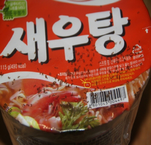 ▲ 13일 트위터에 한 소비자가 게제한 개미가 발견 된 농심 새우탕 ⓒ 자료사진