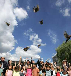 ▲ 꿩이 하늘을 날고 있다 ⓒ 연합뉴스