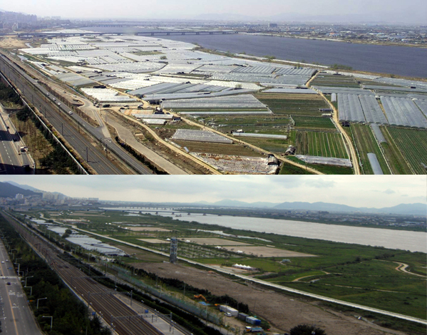 ▲ 부산시 북구 화명동 낙동강살리기 화명지구 정비사업 전화 후 모습. 어지러운 비닐하우스 자리에 생태공원과, 생태탐방로 공사가 마무리중이다. ⓒ 뉴데일리