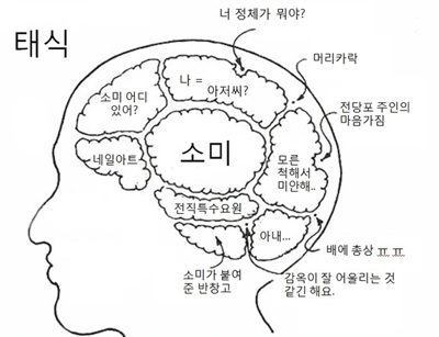▲ 영화 '아저씨' 원빈 뇌구조 <출처-'아저씨' 공식카페 / 트위터 @Kimem0308>