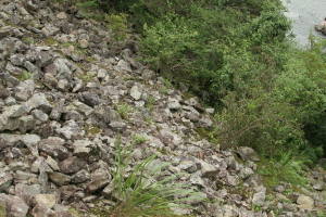 ▲ 새로 발견된 포천 풍혈. ⓒ 뉴데일리