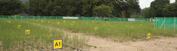 ▲ 여주 강천보 현장 인근 강천섬의 대체서식지. ⓒ뉴데일리